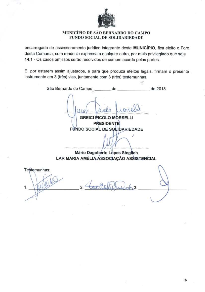 TERMO DE COLABORAÇÃO 31 2018 FSS-10